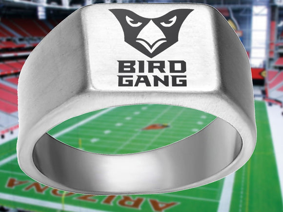 Arizona Cardinals Ring Silver Titanium Ring | Sizes 8 - 12 #arizonacardinals #birdgang
