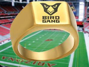 Arizona Cardinals Ring Gold Titanium Ring | Sizes 8 - 12 #arizonacardinals #birdgang