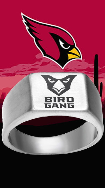 Arizona Cardinals Ring Silver Titanium Ring | Sizes 8 - 12 #arizonacardinals #birdgang