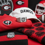 Georgia Bulldogs Ring | Silver Titanium | Sizes 8-12 | FREE Shipping